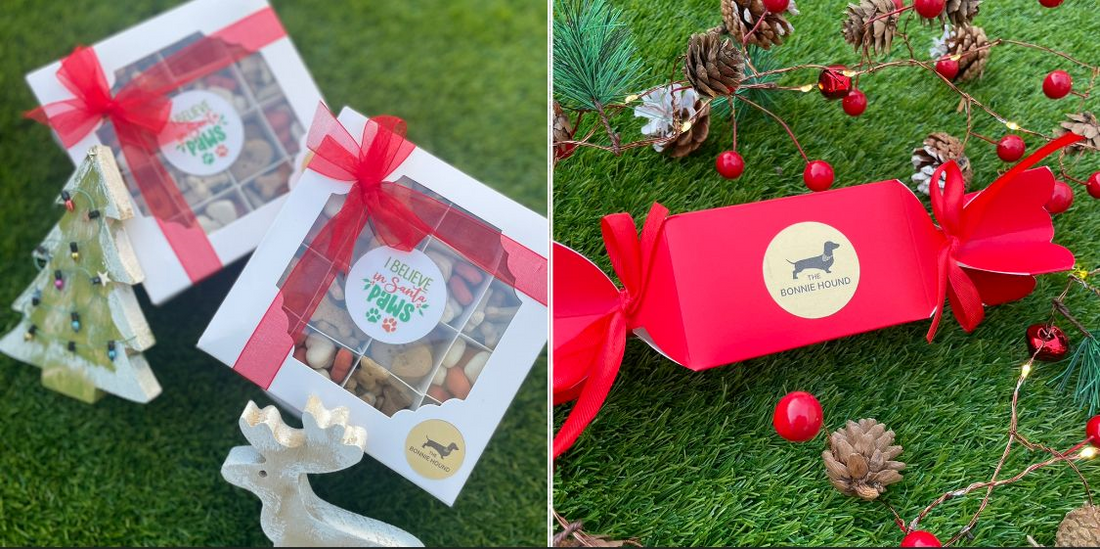 Top Christmas Gifts for Your Dog or Puppy!