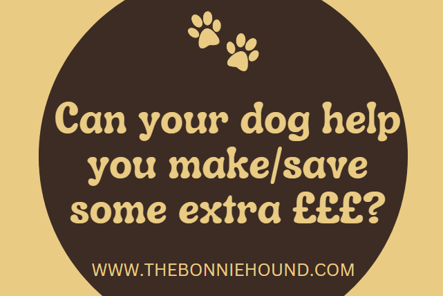 Can your dog help you make/save some extra £££?