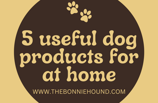 Top 5 Useful Dog Products