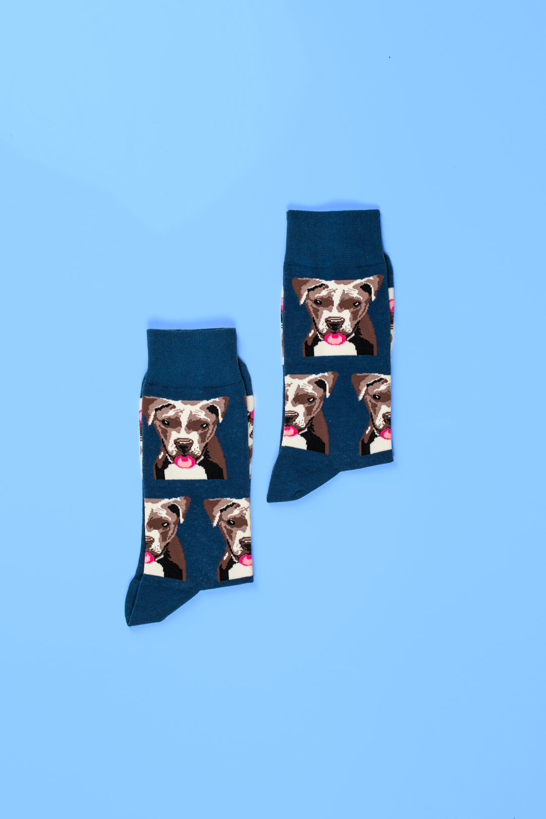 Navy Blue Dog Pattern Socks