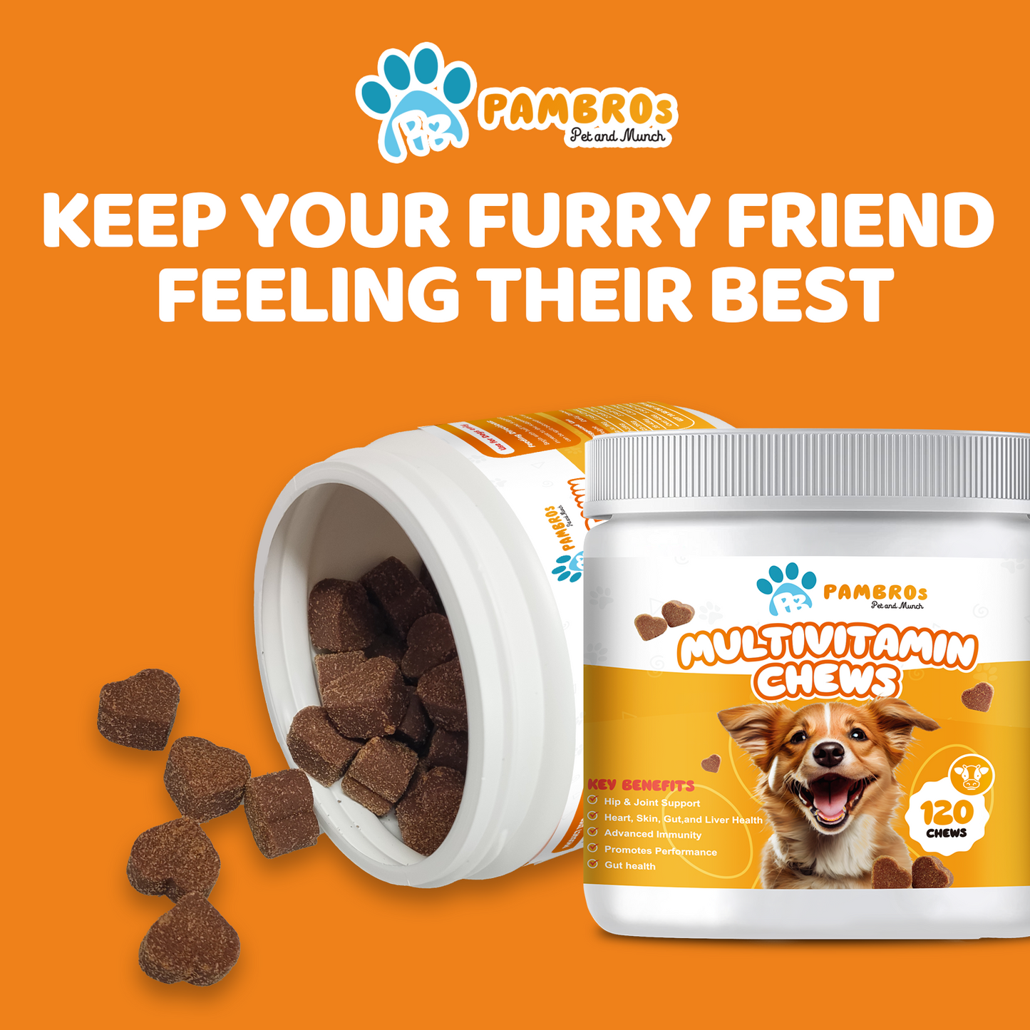 Multivitamin Chews for Dogs – Daily Health Support for Joints, Skin, Coat & Immunity