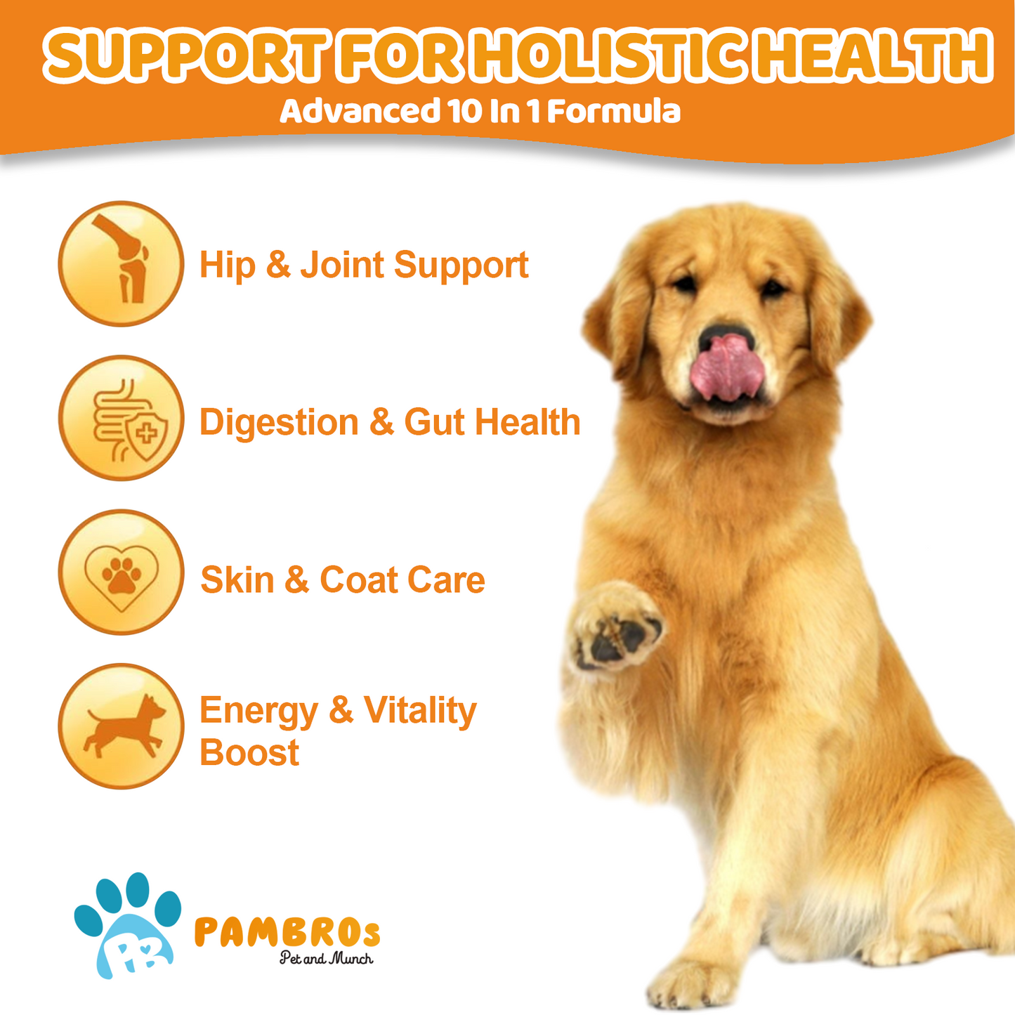 Multivitamin Chews for Dogs – Daily Health Support for Joints, Skin, Coat & Immunity