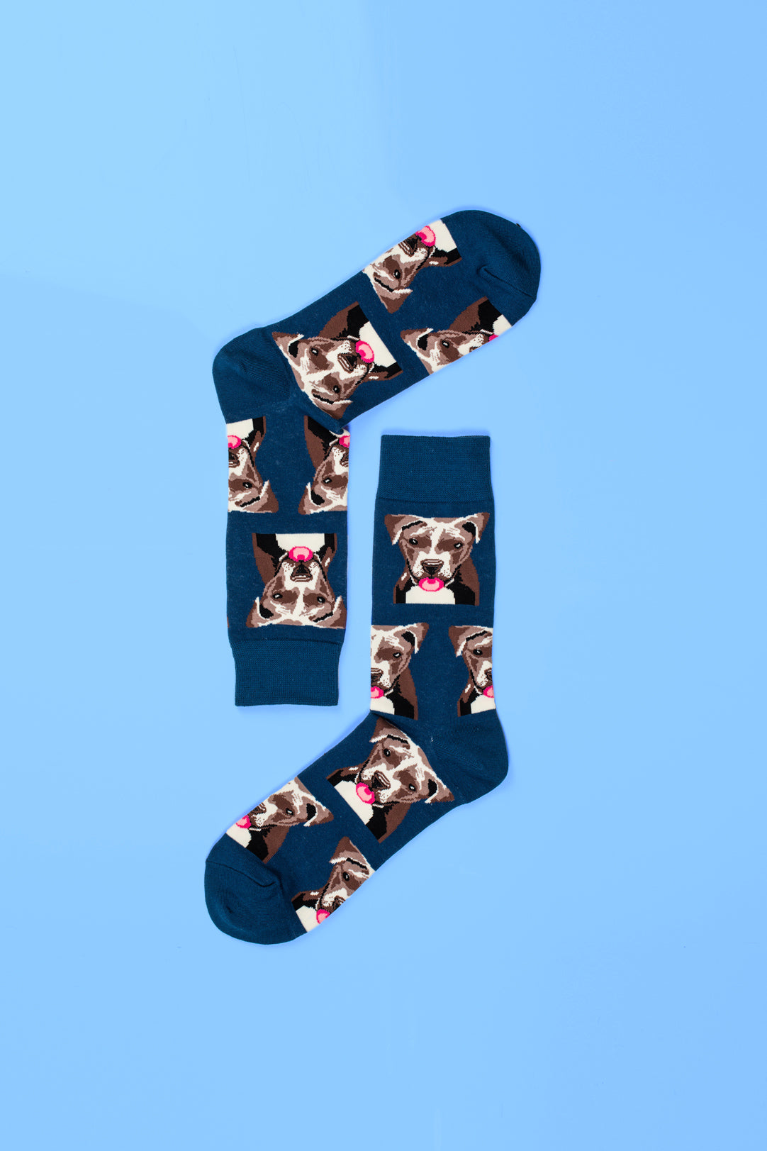 Navy Blue Dog Pattern Socks
