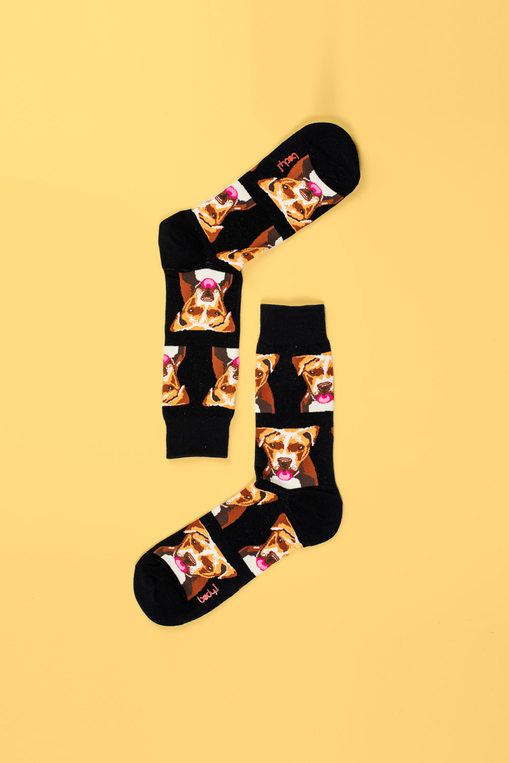 Black Dog Pattern Socks