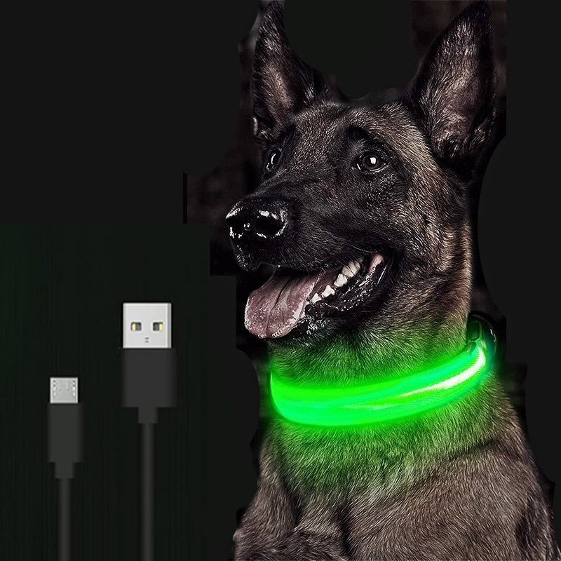 Adjustable LED Glowing Pet Collar: Keep Your Dog or Cat Safe and Visible at Night