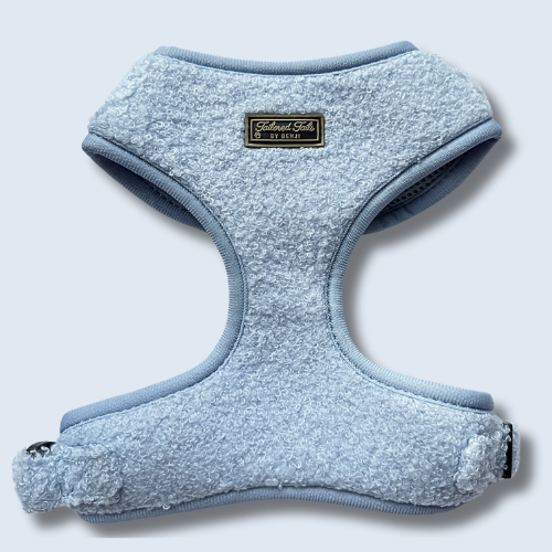 Aqua Dreams Adjustable Harness
