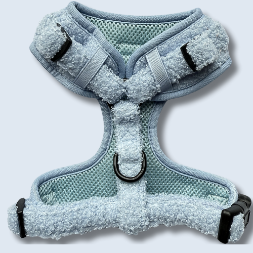 Aqua Dreams Adjustable Harness