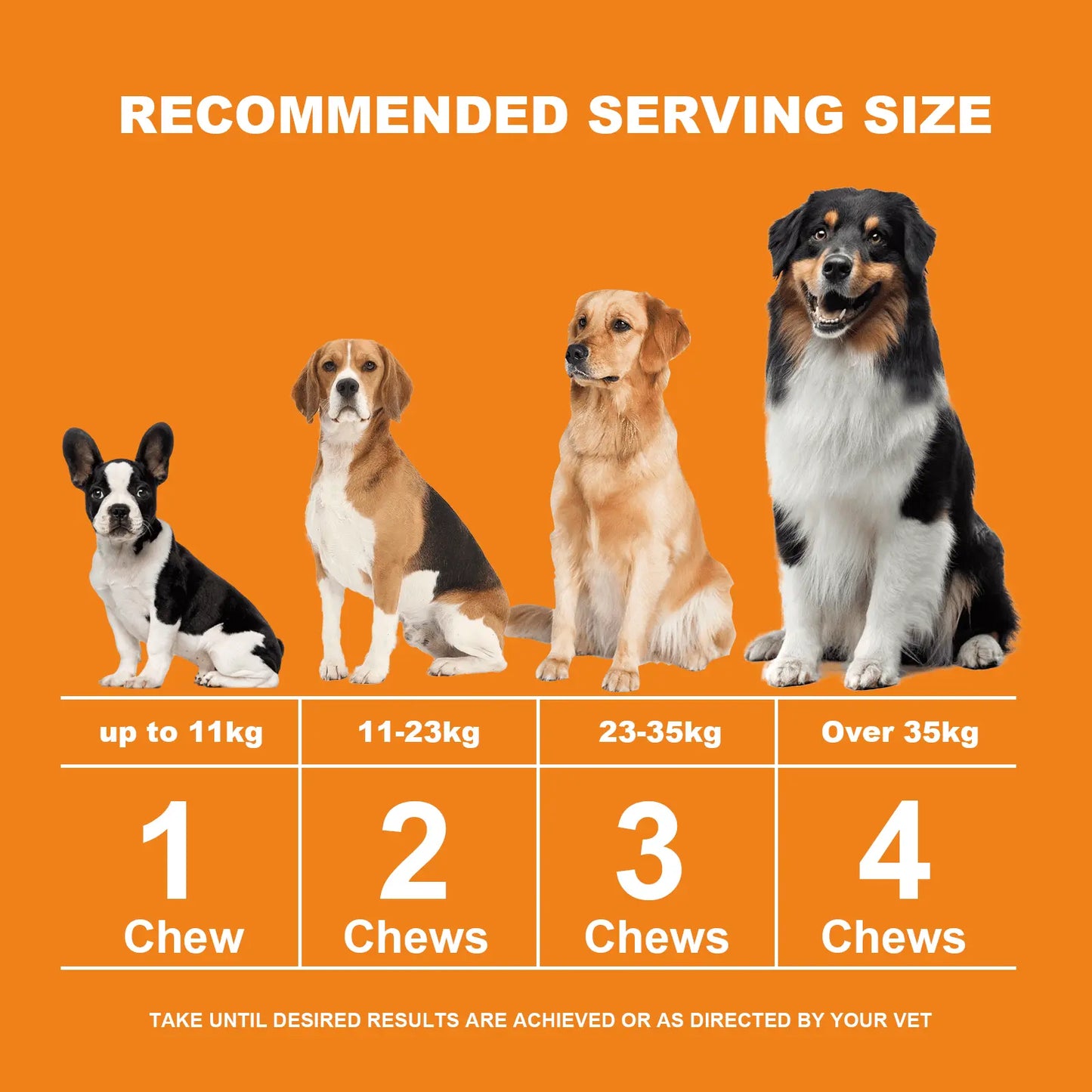 Multivitamin Chews for Dogs – Daily Health Support for Joints, Skin, Coat & Immunity