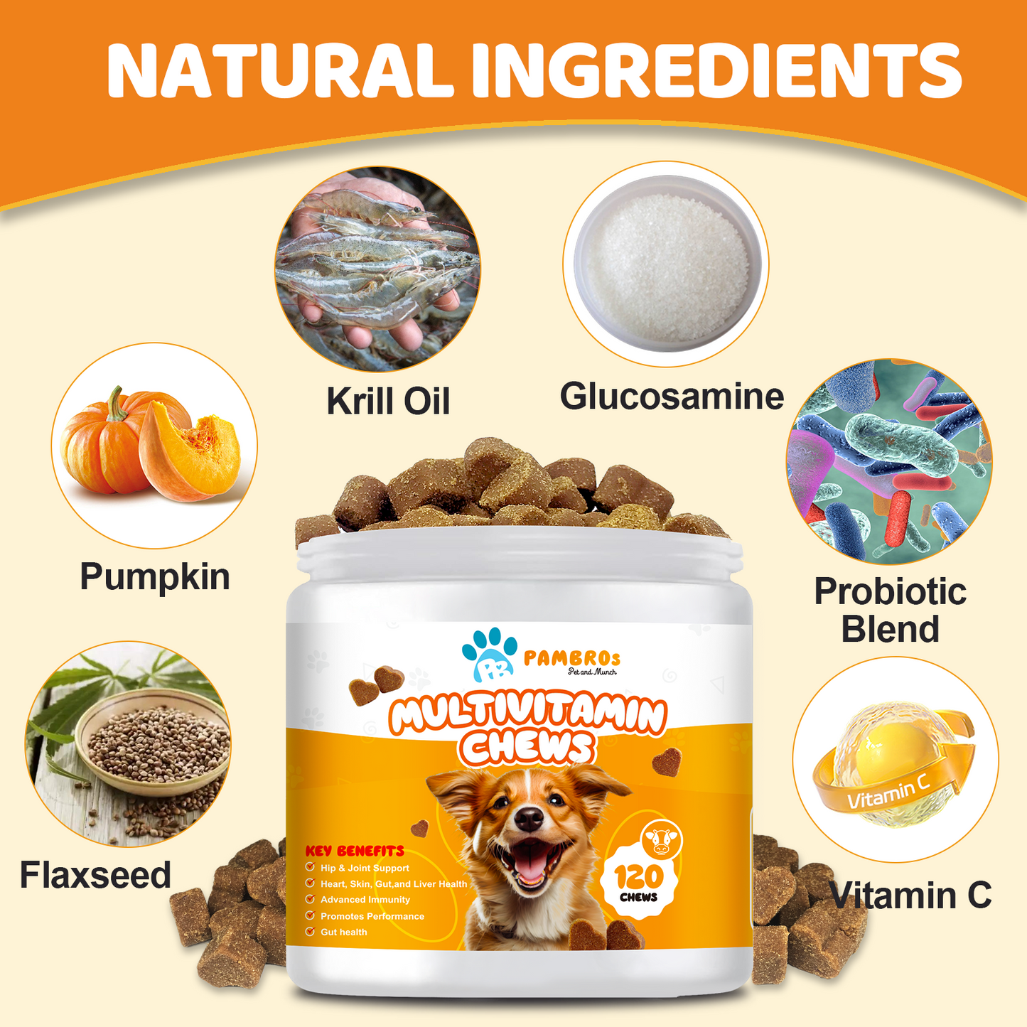 Multivitamin Chews for Dogs – Daily Health Support for Joints, Skin, Coat & Immunity