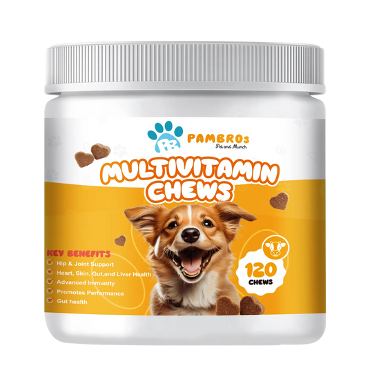Multivitamin Chews for Dogs – Daily Health Support for Joints, Skin, Coat & Immunity