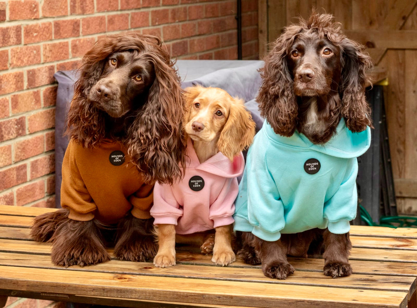 Dog Hoodie - Grey