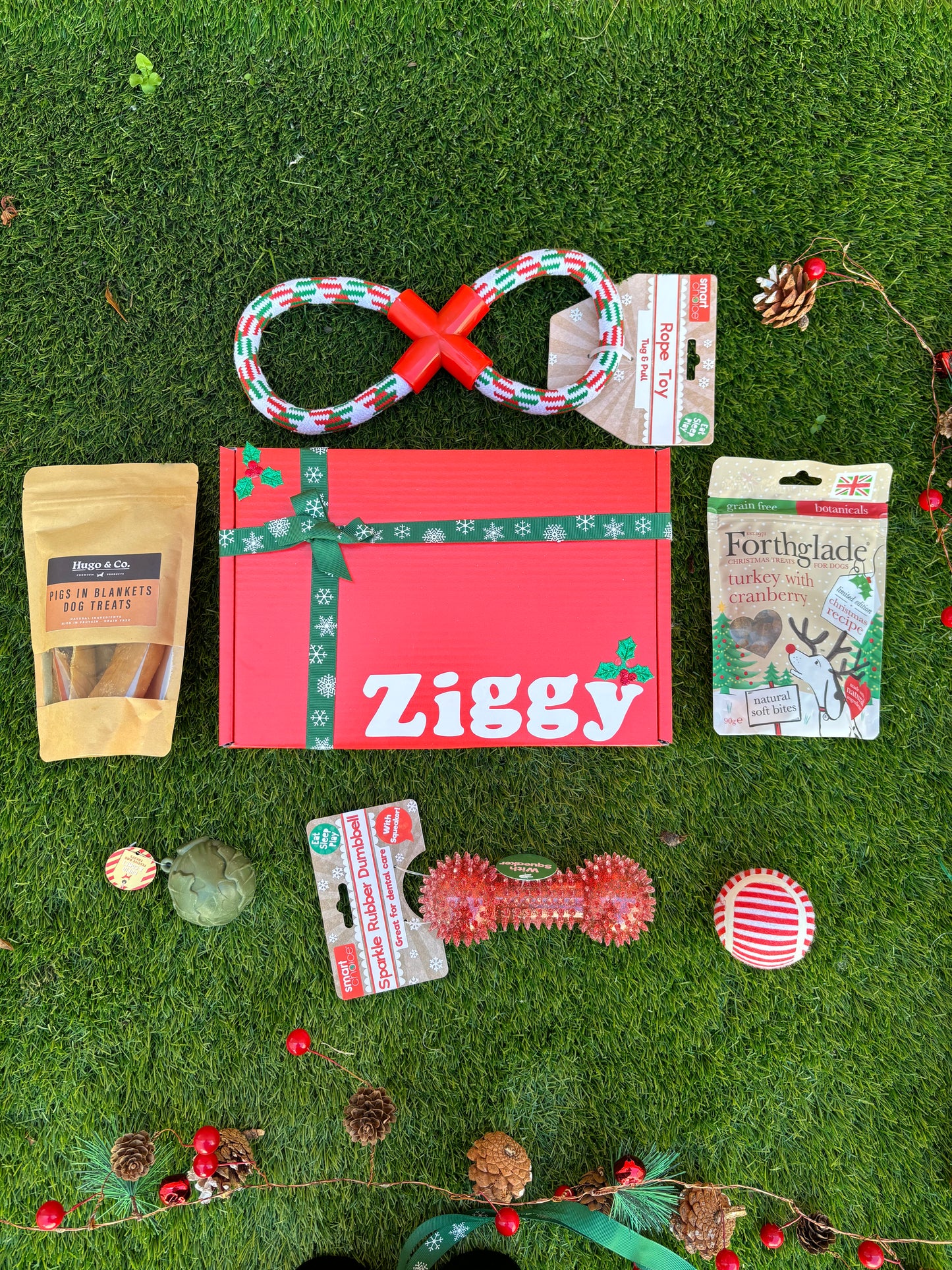 The Festive Hound - Christmas Dog Hamper - Treats and Toys