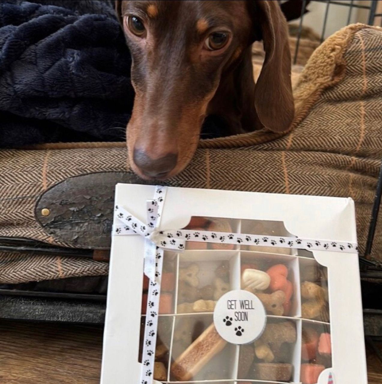 Get Well Soon Treat Box