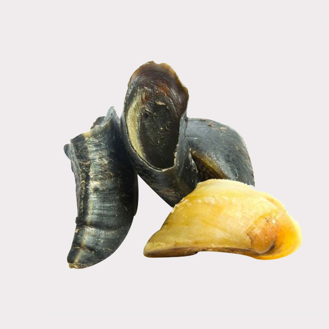 Hooves - Filled or Plain