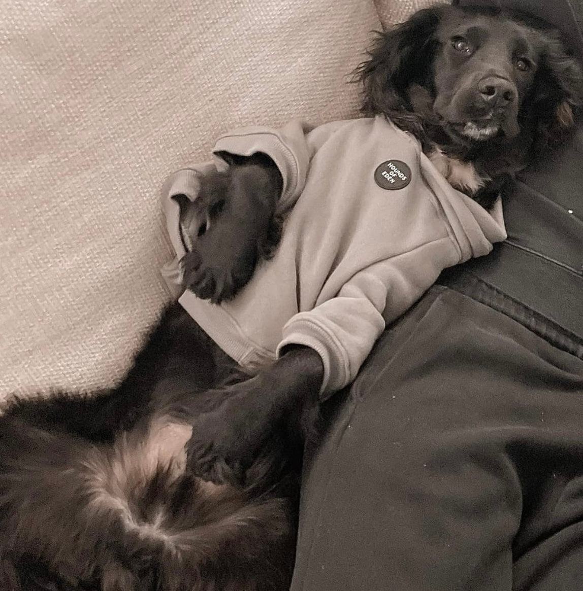Dog Hoodie - Grey