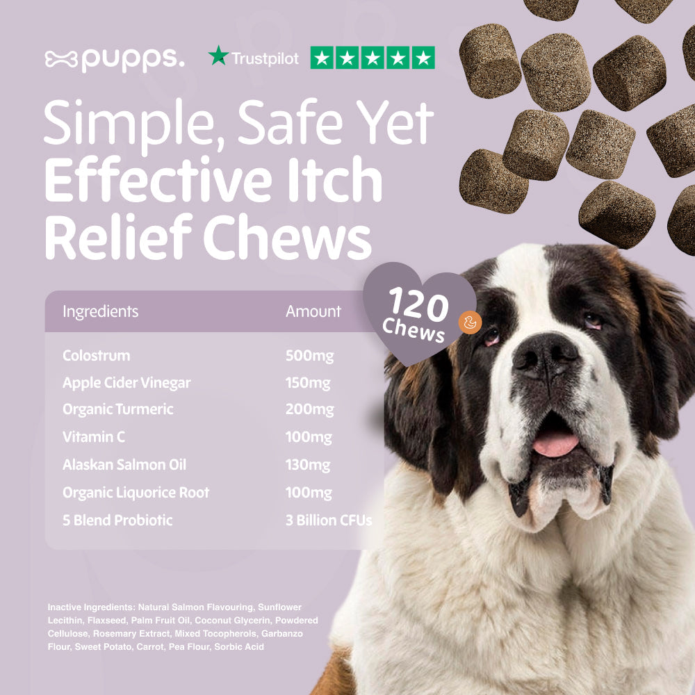 Itch Relief Treats
