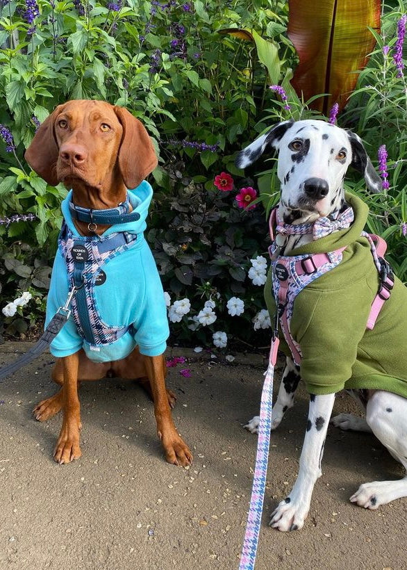 Dog Hoodie - Grey