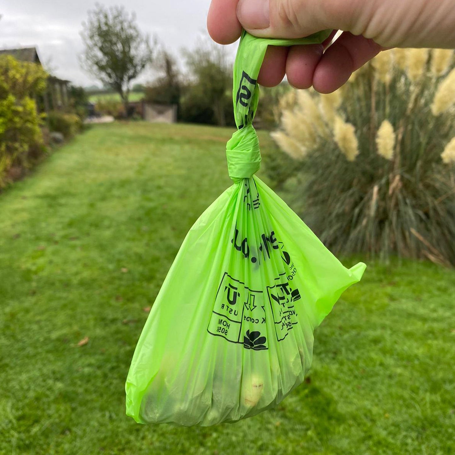 Compostable Dog Poop Bags- 3 Boxes of 60 Bags