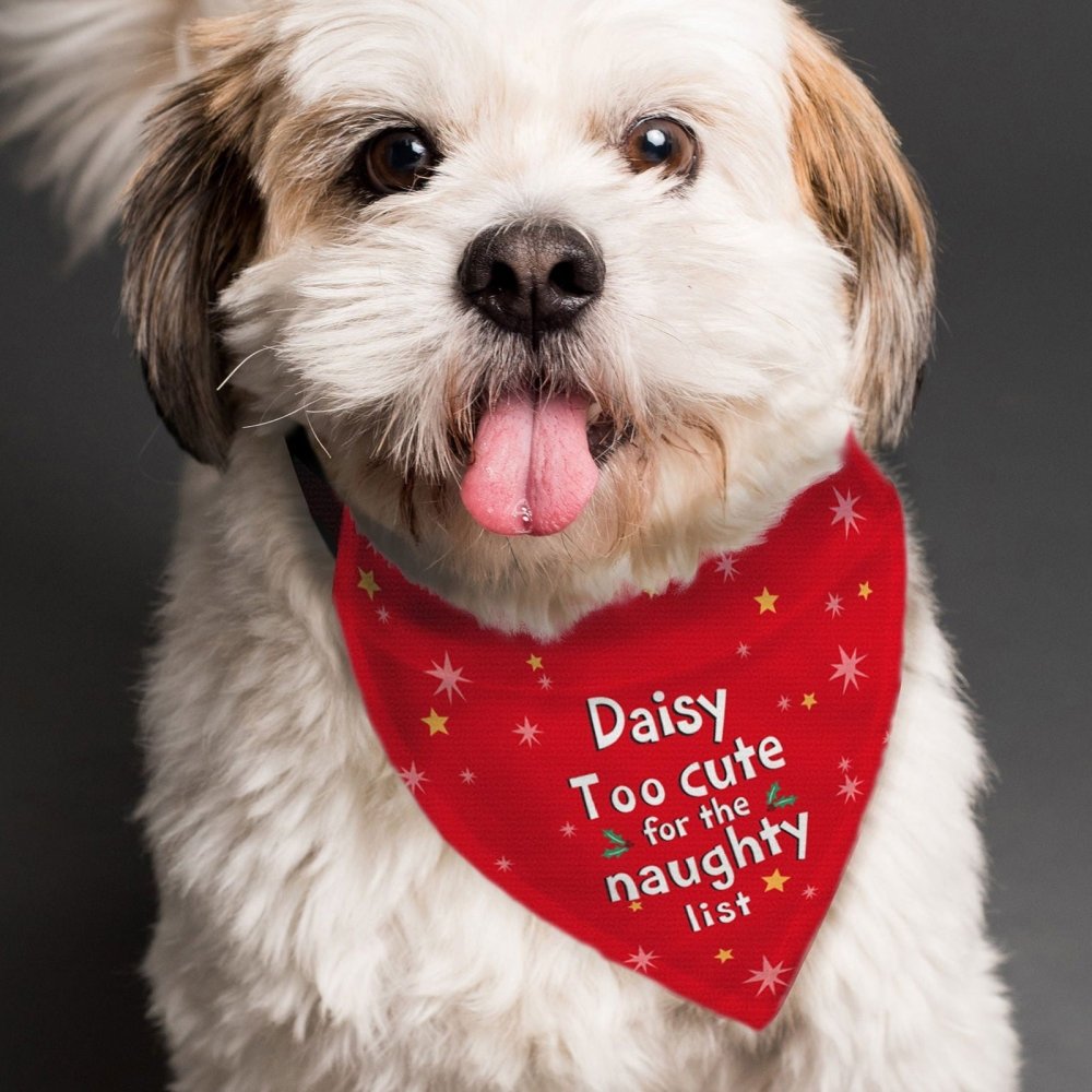 Personalised 'Too Cute For The Naughty List' Dog Bandana
