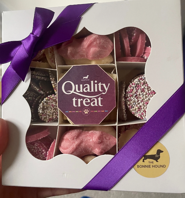 Quality Treat Box for Dogs