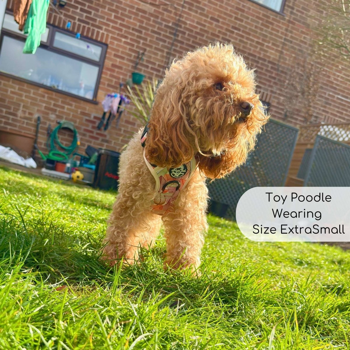 Rugged Rover™ Harness - Autumn Breeze