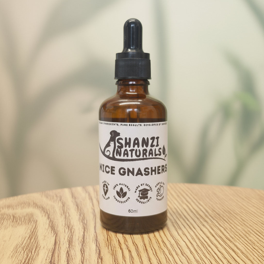 Nice Gnashers – Oral Hygiene & Fresh Breath Formula