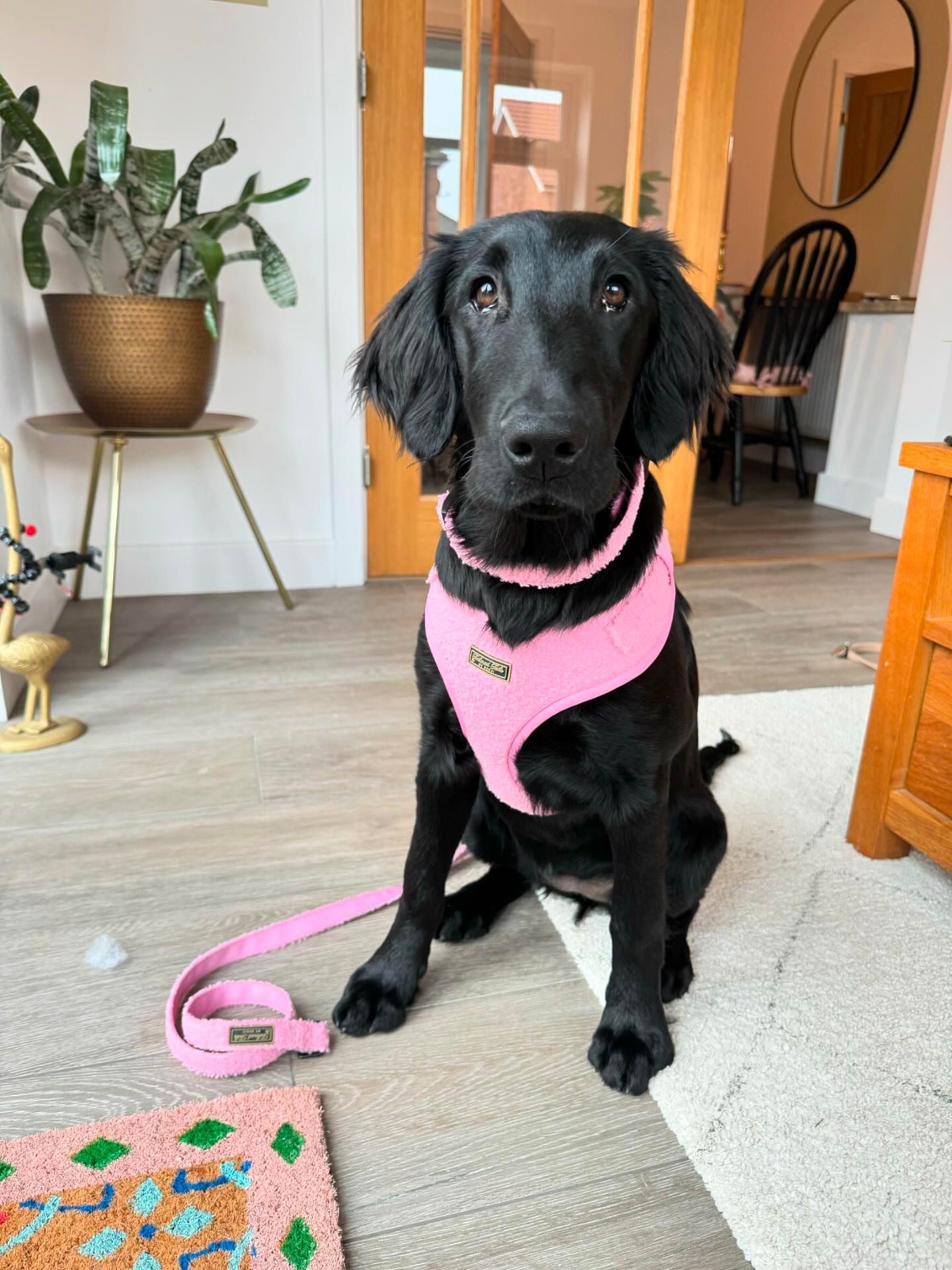 Tickled Pink Adjustable Harness
