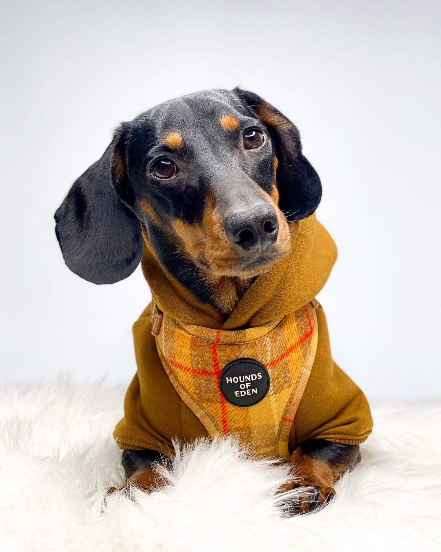 Dog Hoodie - Grey