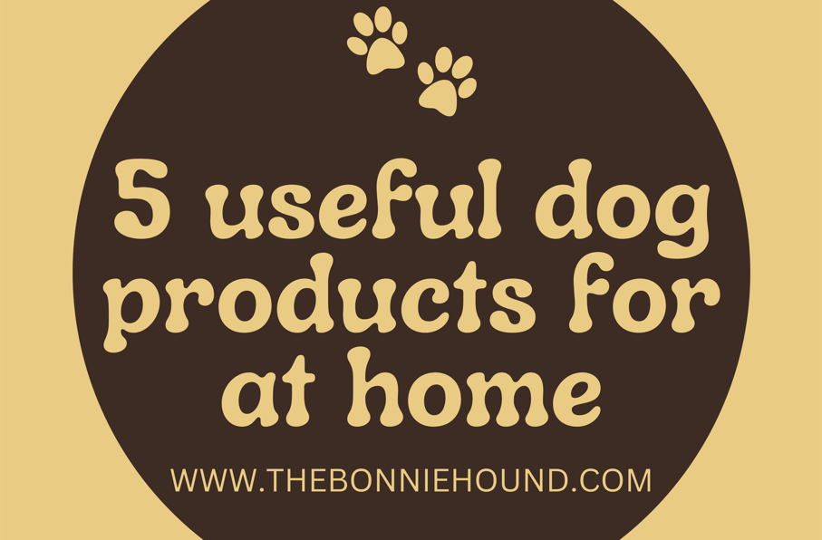 Top 5 Useful Dog Products