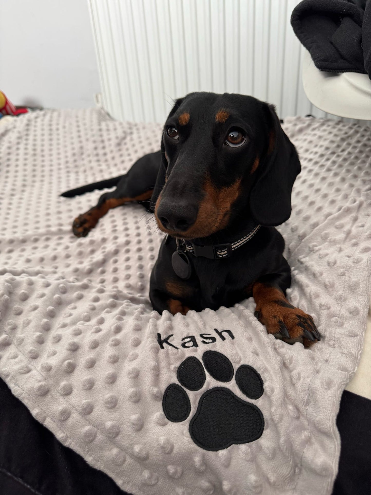 Embroidered Personalised Pet Blankets | Personalised Pet Gifts
