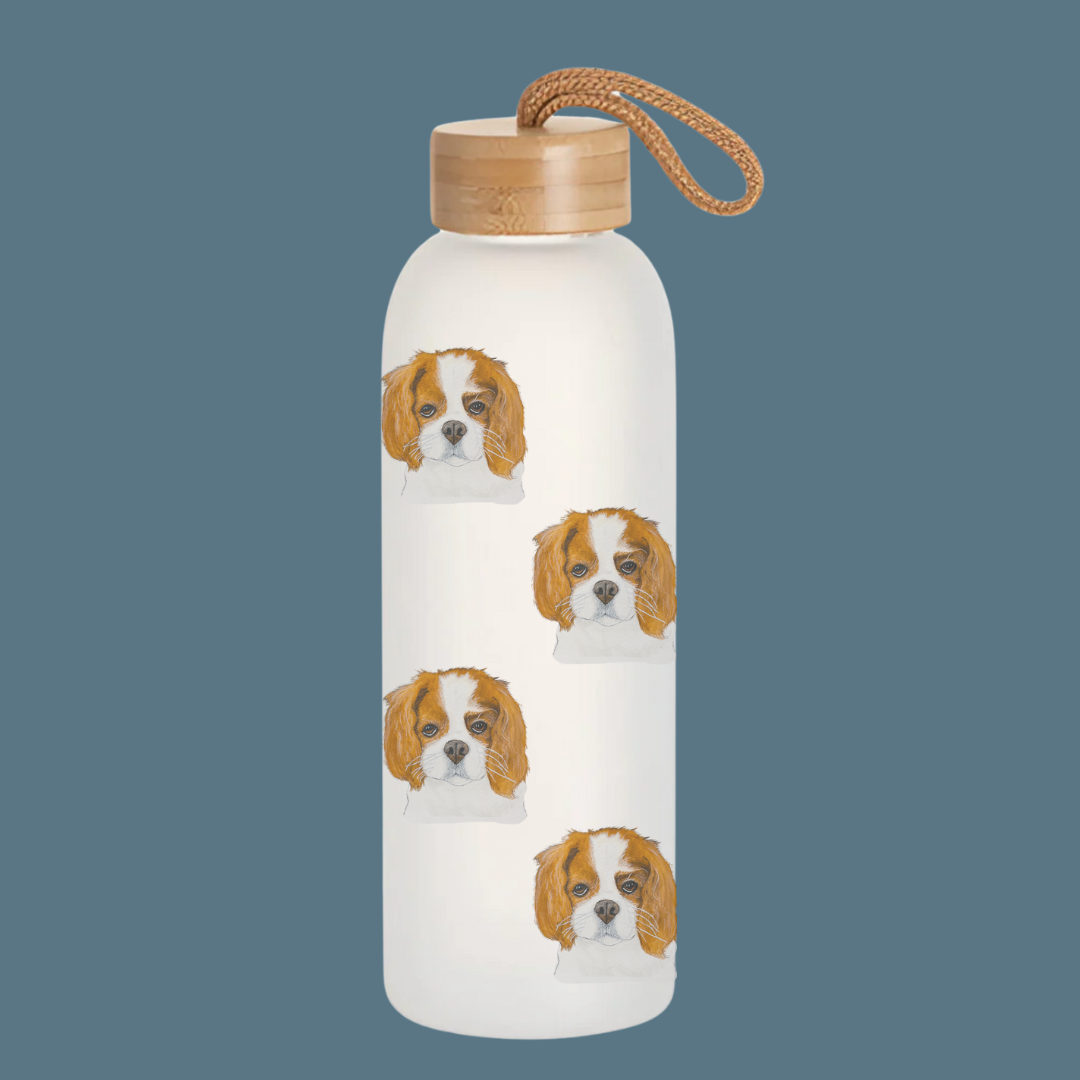 Stay Pawsitive: Royal Cavalier Frosted Glass Water Bottle