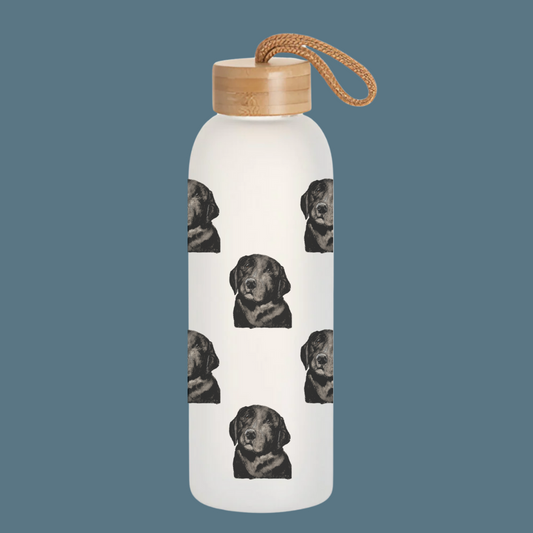 Stay Pawsitively Hydrated – Om Nom Nomnivore Glass Bottle