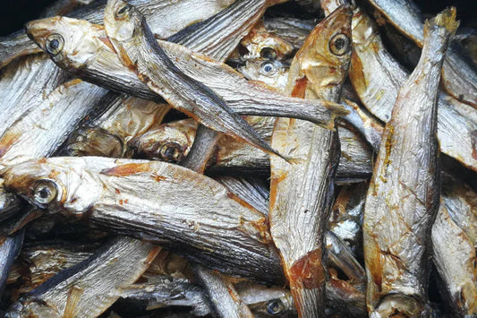 200g Dog Shack Sprats