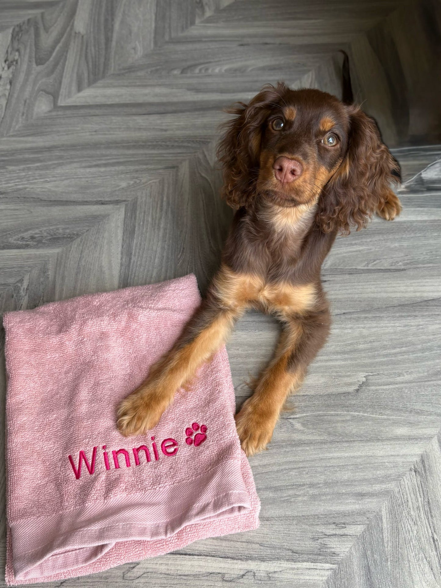 Embroidered Personalised Pet Towel - 2 Sizes Available