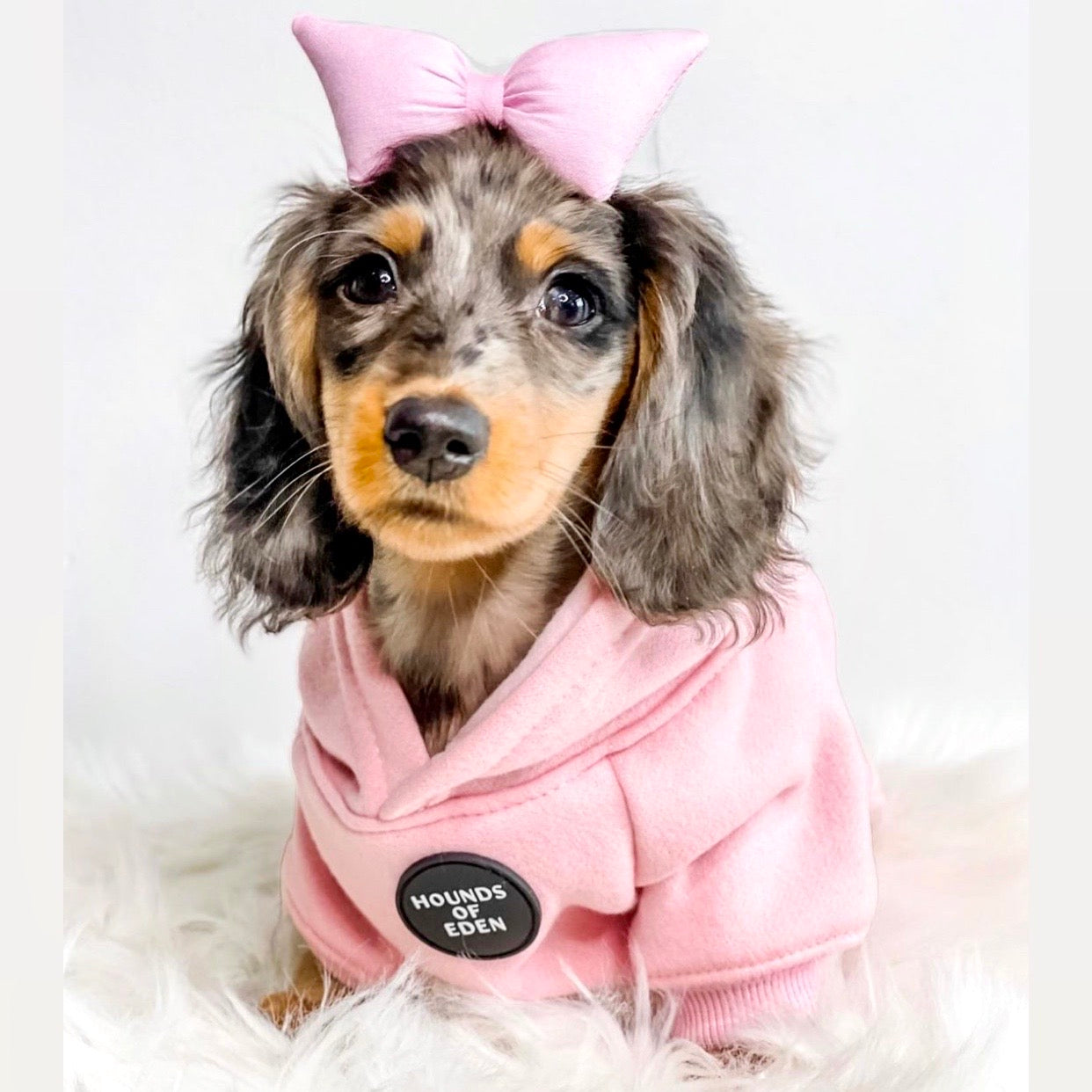 Dog Hoodie - Sky Blue