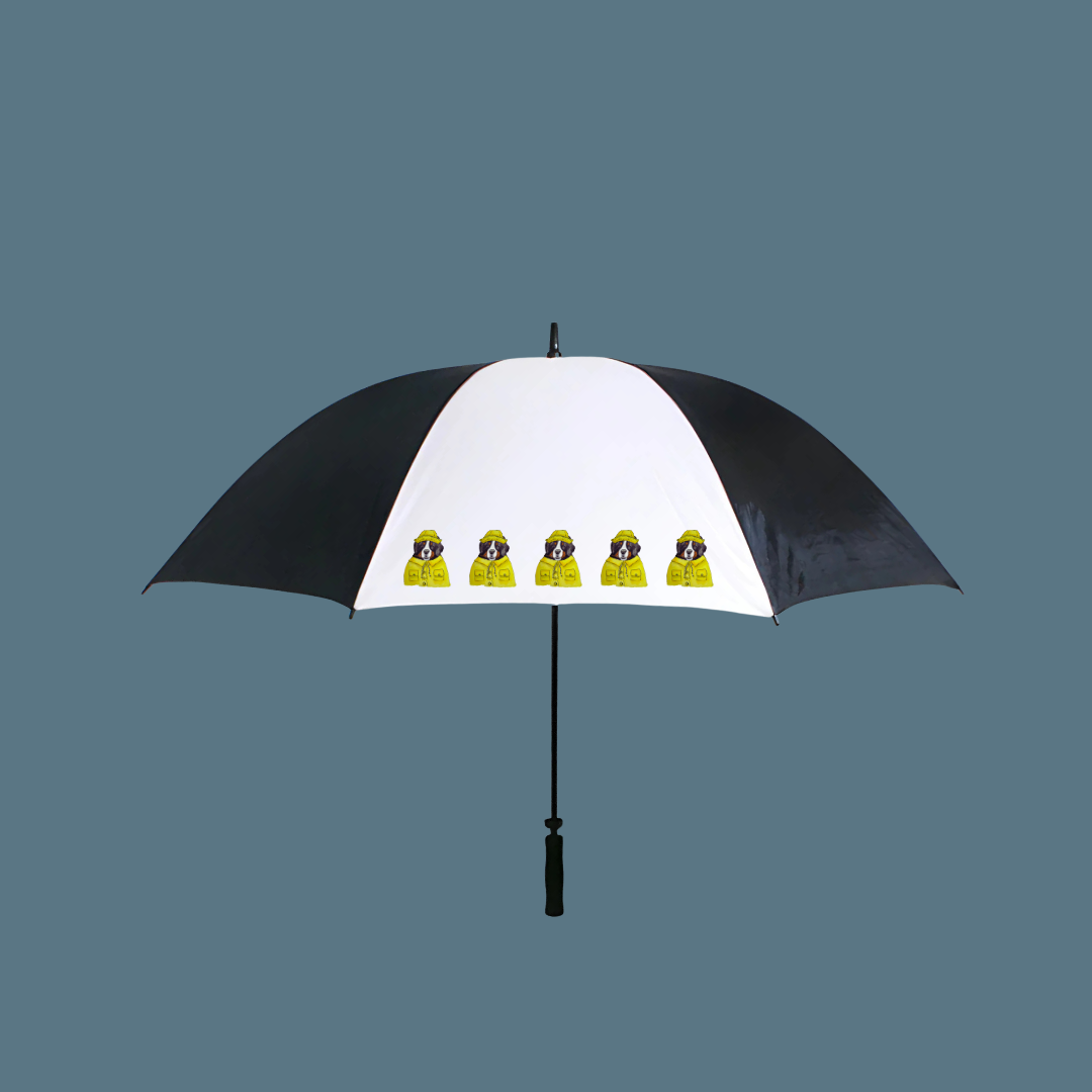 Berner-Sized Protection – Stay Dry in Giant Furry Style!