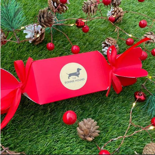 2 x Dog Christmas Crackers filled with Treats - 1 x Biscuits & 1 x Dog Chocolates