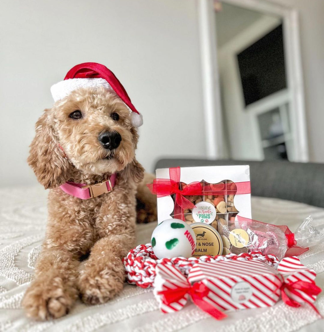 I Believe in Santa Paws Treat Box