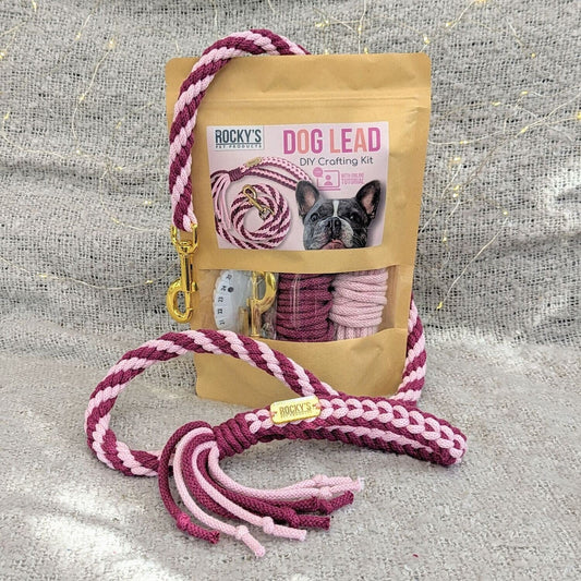 Make Your Own Dog Lead Craft Kit - PINK