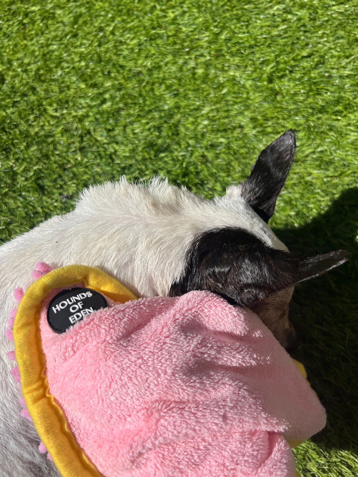 Mini Dog Towel + Clip, Pink & Red