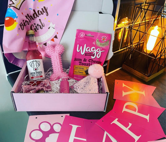 Birthday Girl Dog Hamper - Treats and Toys