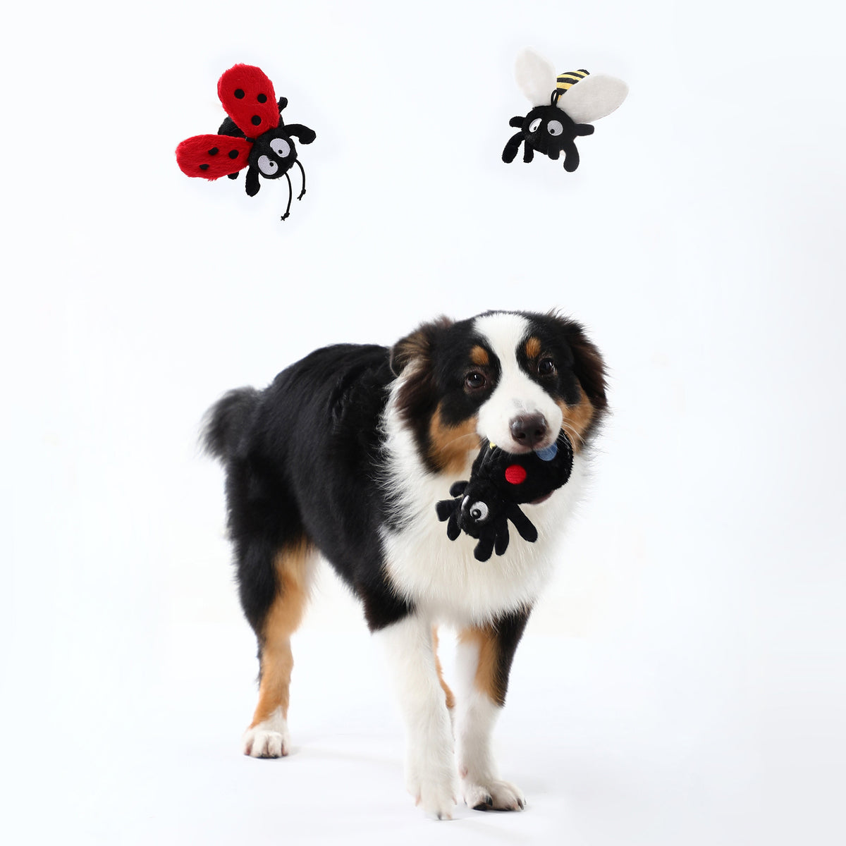 Honey Bee Squeaky Dog Toy – Interactive Play