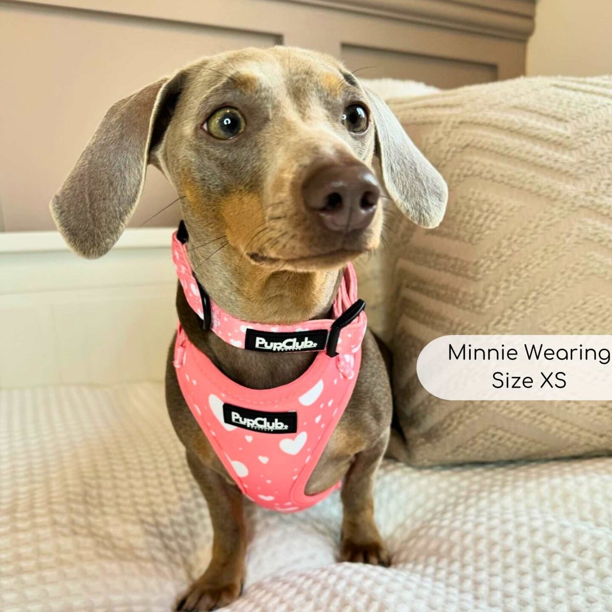 Adjustable Harness - Peachy Hearts