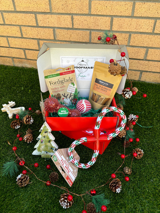 The Festive Hound - Christmas Dog Hamper - Treats and Toys