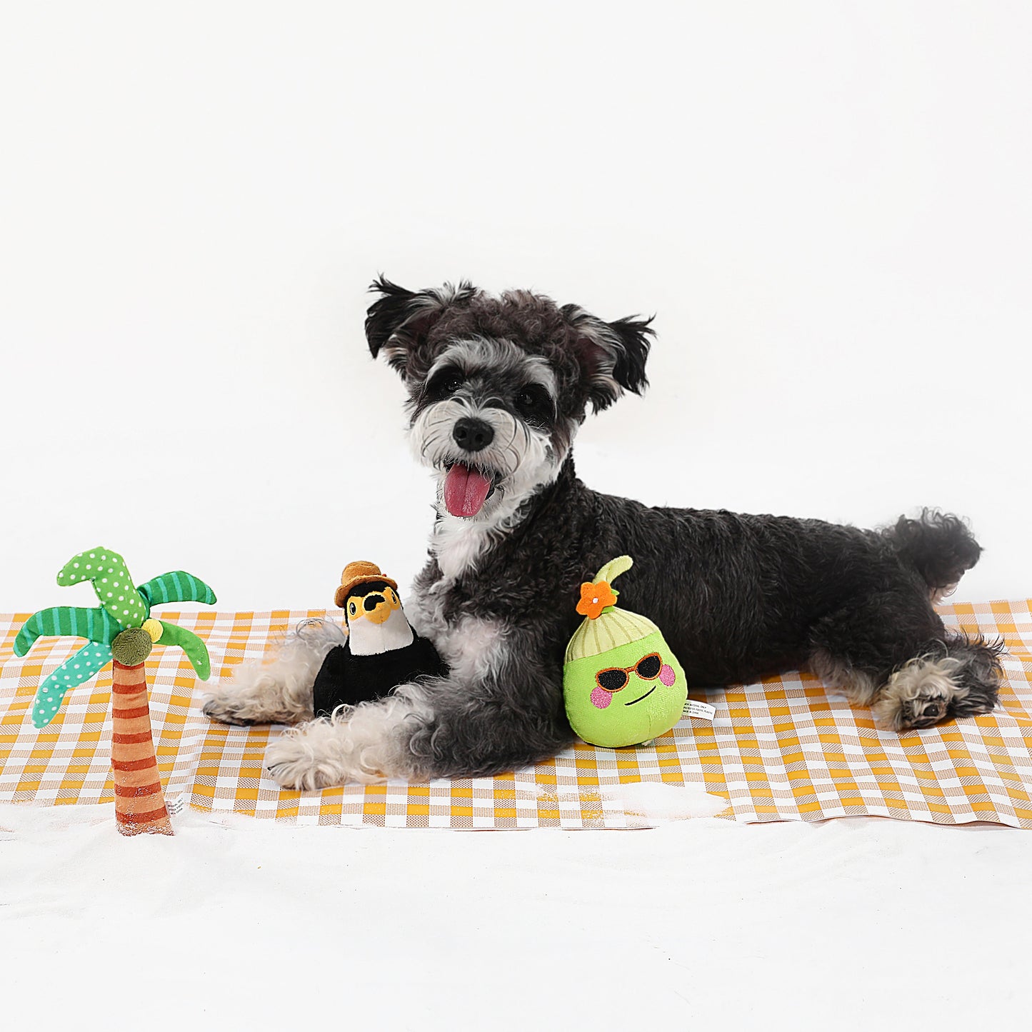 Subtropical Palm Tree Dog Toy – Crinkle & Squeaky Interactive Play