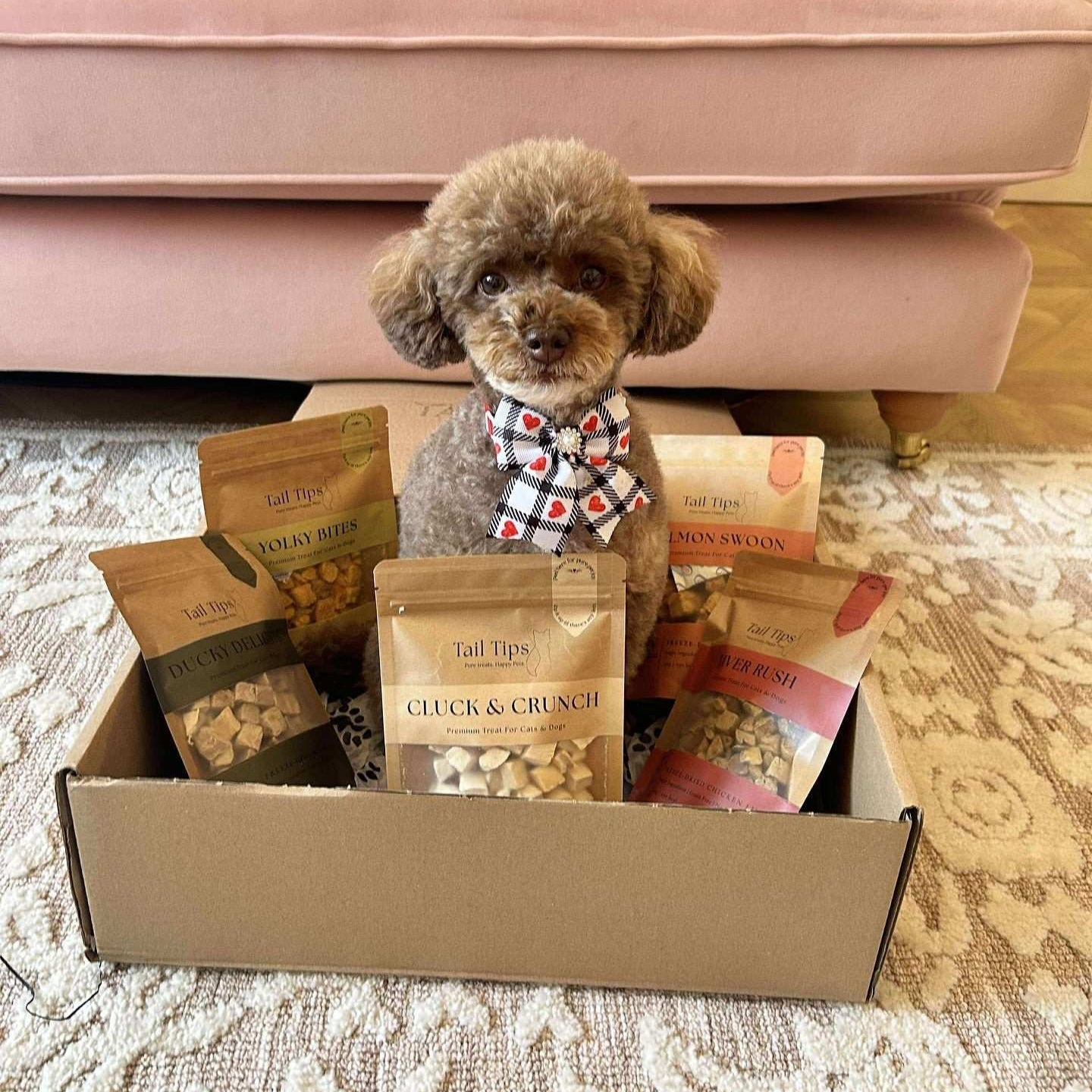 Taster Pack - 5 Freeze-Dried Pet Treats | Try All Flavours | Tail Tips UK