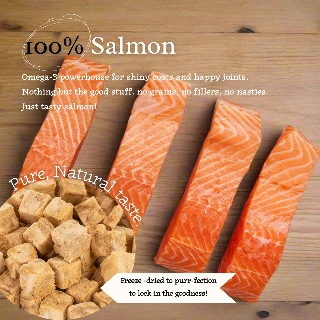 Salmon Swoon - 100% Freeze-Dried Salmon Treats | Pure & Natural | Tail Tips UK