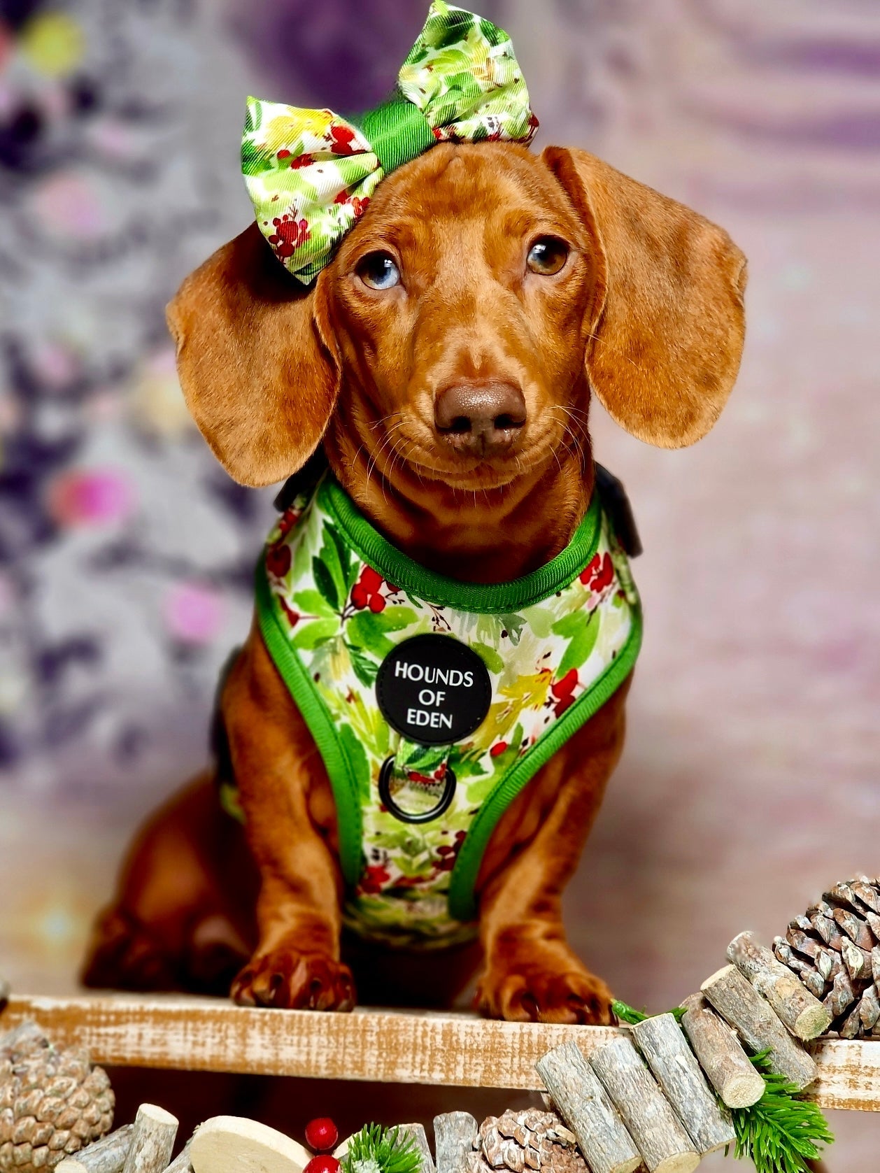 Winter Spruce & Berries Design Poop Bag Holder