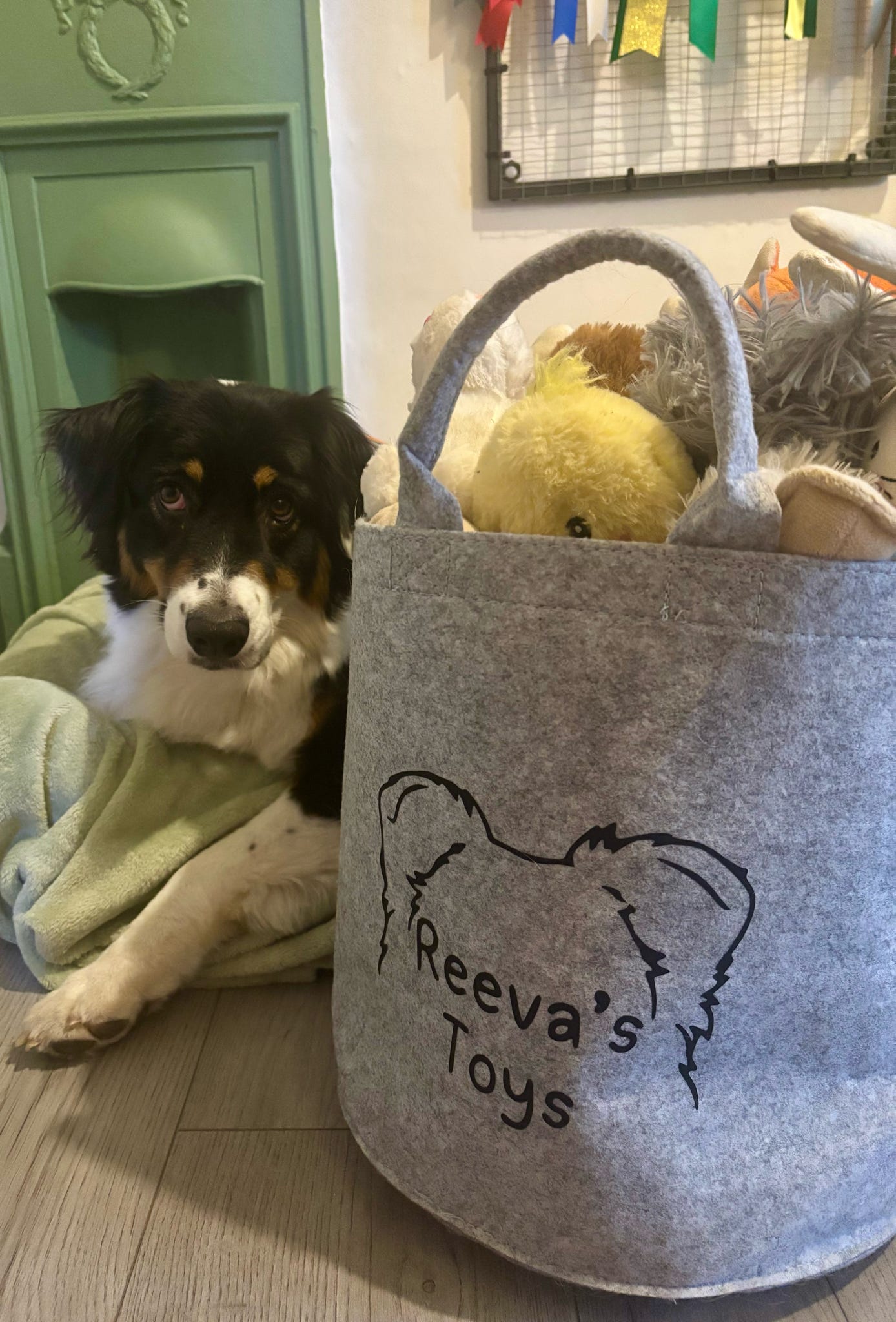 Personalised Pet Toy Bag | Personalised Pet Gifts