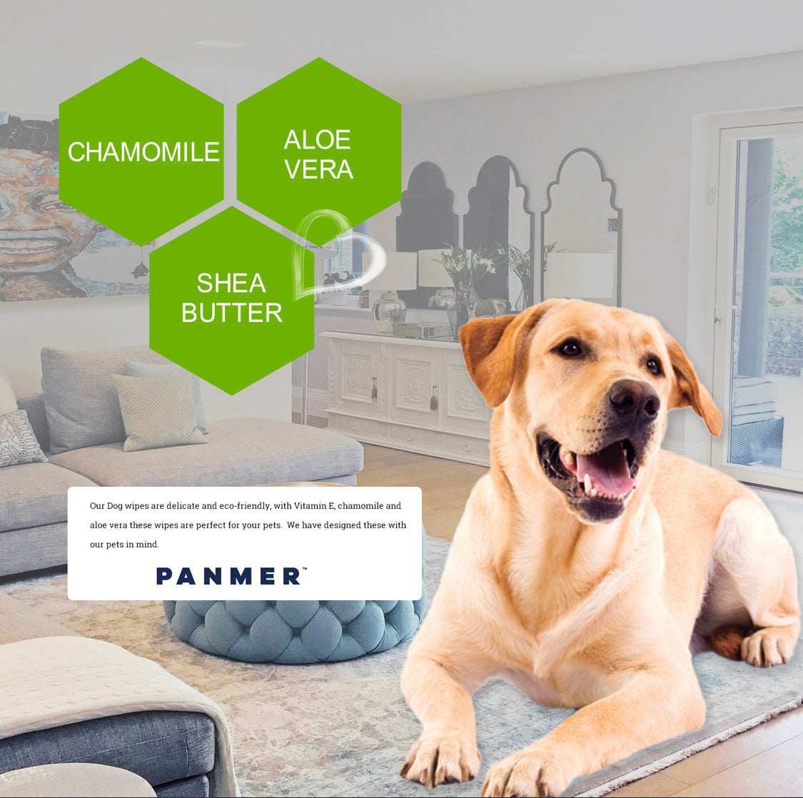 Pet Wipes For Dogs and All Pets Hypoallergenic Unscented Wipes